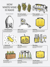 How White Wine Is Made Unframed